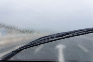 windshield