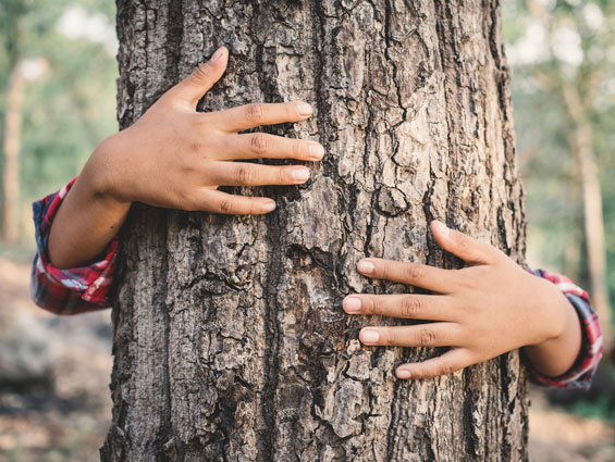 child's hands hugging tree