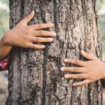 child's hands hugging tree